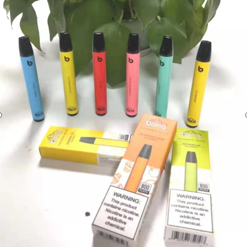 Bang Mini 800 Puffs Disposable Vape Bang Mini 800 Puffs Disposable Vape
