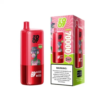 ZOOY TRIPLE 70000 Introduction technique et analyse structurelle|Dispositif d...