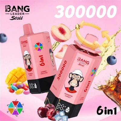 Un appareil dure plus longtemps : pourquoi le Bang Leader 300 000 Puffs Vape ...