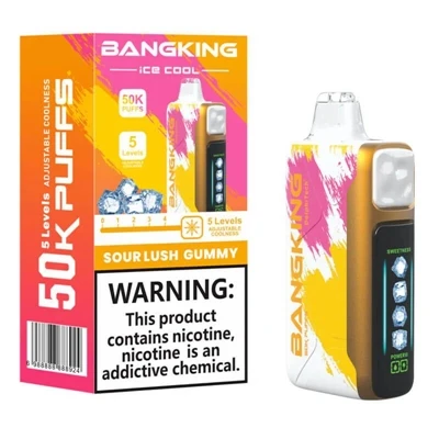 BANGKING ICE COOL 60K Vaporisateur électronique de glace réglable, rechargeab...