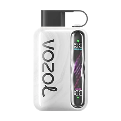 Cigarette électronique jetable VOZOL STAR 40000 : la combinaison parfaite ent...