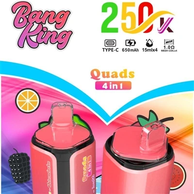 BANG KING Quads 250000 4IN1 : une-révolution haut de gamme dans le domaine de...