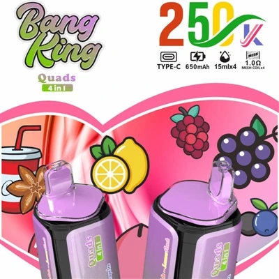 BANG KING Quads 4IN1 250000 : une toute nouvelle expérience de cigarettes éle...
