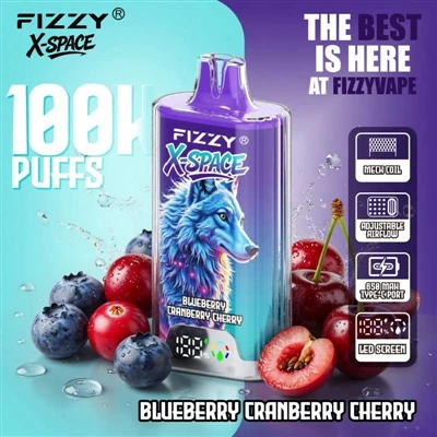 Fizzy 100K X Space : il n'y a rien de remarquable pour qu'un appareil dure lo...