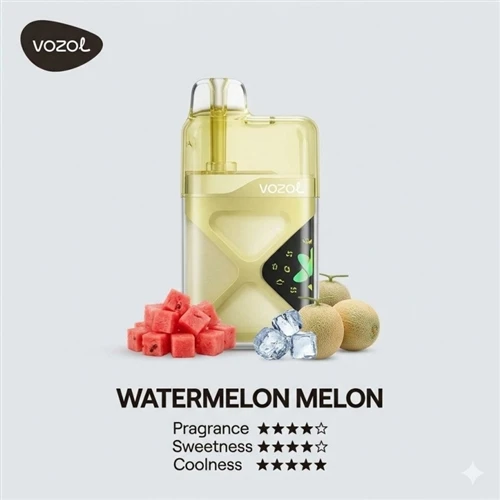 VOZOL Neon 60000 : un équilibre entre une sortie stable et une expérience rég...