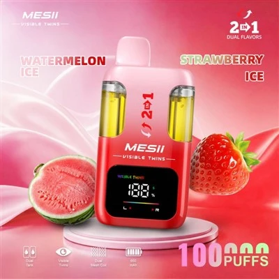 MESII JUMEAUX VISIBLES 100K