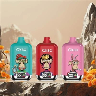 Boîte numérique OKSO 12000