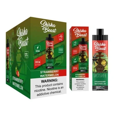 R&M Shisha Beast 20 000 bouffées