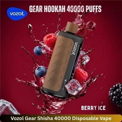 VOZOL Gear Chicha 40000 Puffs