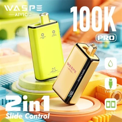 Guêpe Double Saveur 100K Pro 2 en 1