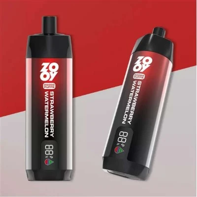 CHICHA À VAPEUR ZOOY 20K
