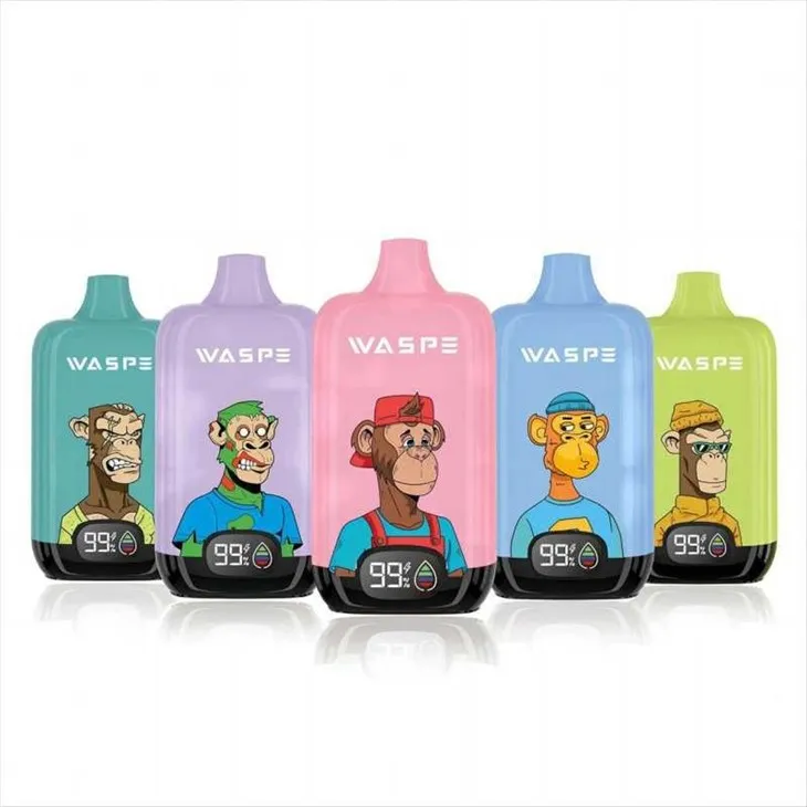 WASPE Digital Box 12000 5